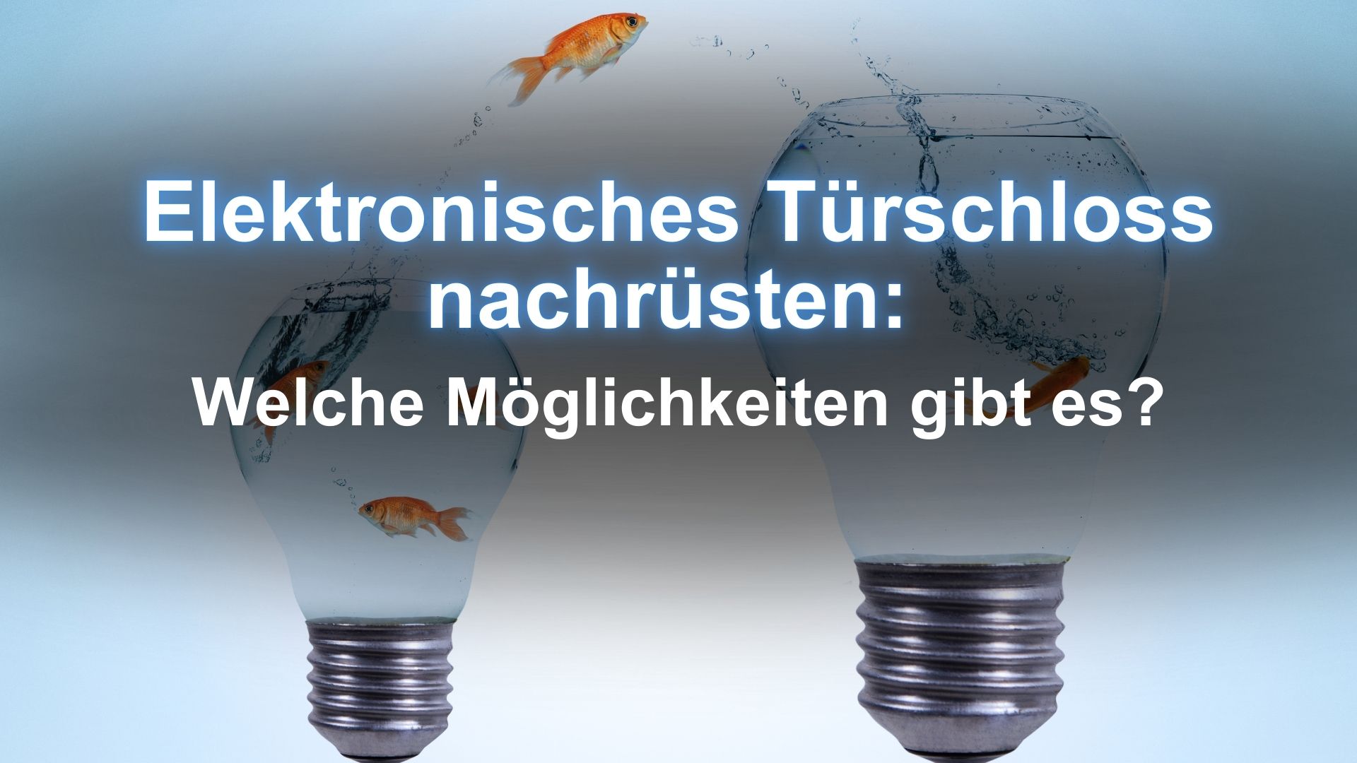 UMTS Media Service Elektronisches Türschloss nachrüsten Welche Möglichkeiten gibt es?